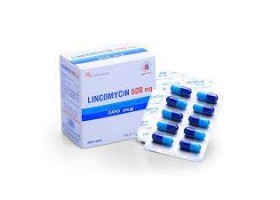 Lincomycin 500 mg